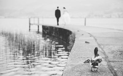 Hochzeit von Grit und Waldemar in Jona