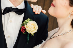 Hochzeitsfotos Meilen